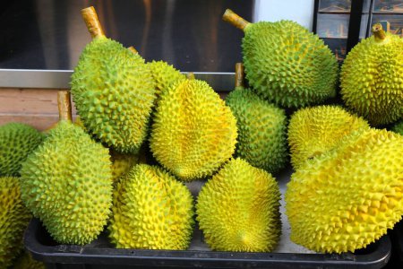 Fresh durian fruit for sale in a specialty food store in Kuala Lumpur, Malaysia.