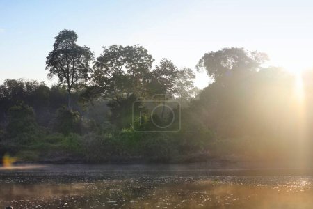 Foto de Niebla matutina y selva tropical en el río Kinabatangan en Sukau en la División Sandakan, en el noreste de Sabah, Malasia. - Imagen libre de derechos