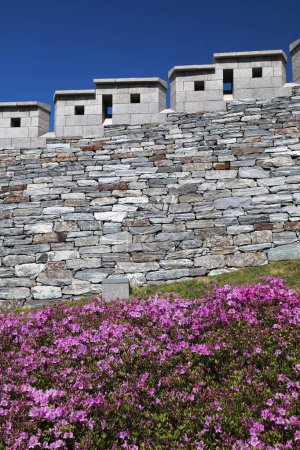 Seoul city walls and blooming azaleas in spring. Namsan Park view.