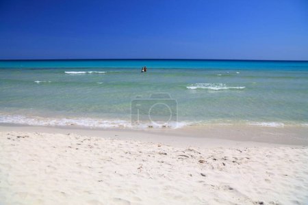La Cinta perfect beach in Sardinia, Italy. Costa Smeralda region in Sardinia island.