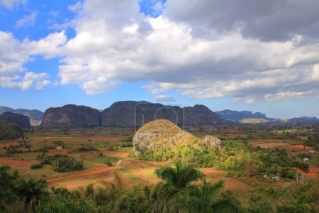 Cuba landscape - mogotes karstic rocks in Vinales National Park. UNESCO World Heritage Site.