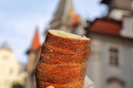 Cocina checa. Pastel de chimenea Trdelnik con canela y azúcar. Praga ciudad en el fondo.