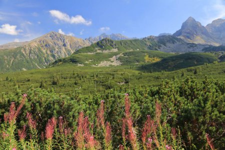 Les montagnes Tatra en Pologne. Vue sur la vallée de la montagne Hala Gasienicowa en septembre avec la montagne Zolta Turnia, la crête d'Orla Perc et la montagne Koscielec.