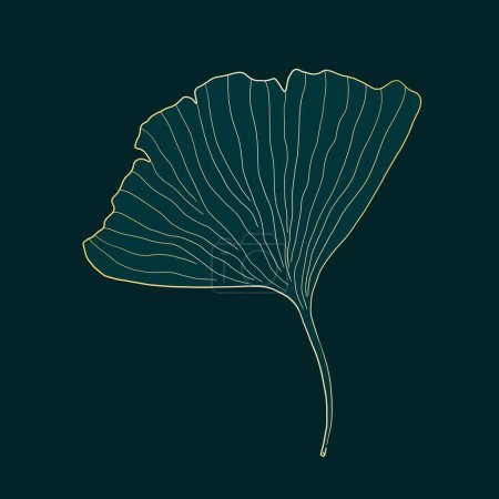 Illustration for Ginkgo leaf gold edge trendy sketch. Isolated ginkgo biloba leaf vector illustration. - Royalty Free Image