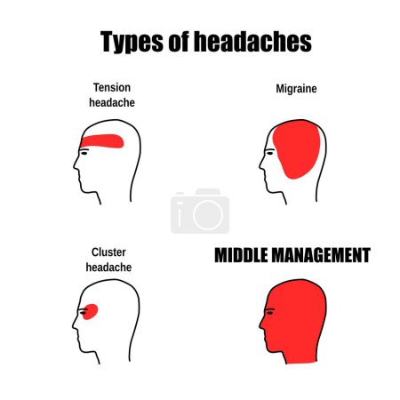 Meme about middle management in office workplace. Humor for social media.