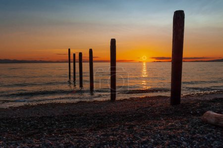 silhouettes of  remnants of an early 1900's pier  at sunset in Point Roberts, Washington state, USA