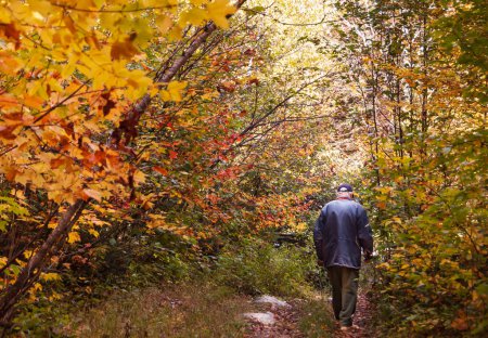 Autumn fairy with senior walking in forest of  Quebec , Canada, focus on the man