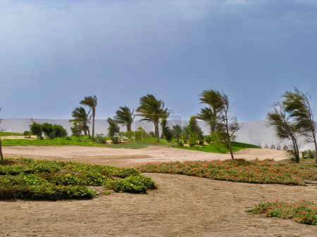 Foto de Tormenta de viento en la playa de la isla del Mar Rojo cerca de El Gouna, Egipto - Imagen libre de derechos