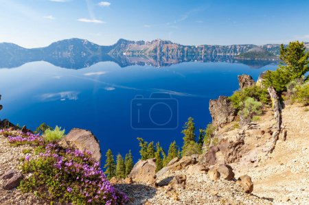 Foto de Vista panorámica del lago en el Parque Nacional del Lago del Cráter, Oregon, EE.UU. - enfoque en primer plano - Imagen libre de derechos