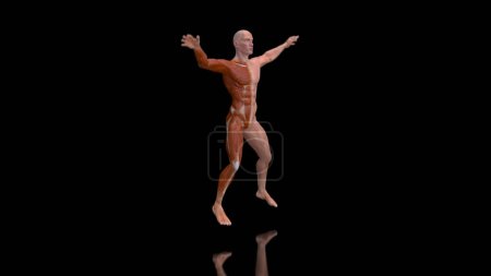 Foto de Abstract 3D anatomy of a man jumping - Imagen libre de derechos