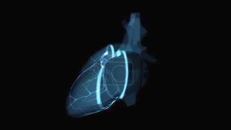 Foto de Ilustración abstracta de un corazón en rayos X - Imagen libre de derechos