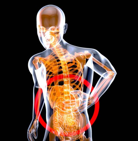 Foto de Abstract anatomy design of the stomach, medicine - Imagen libre de derechos
