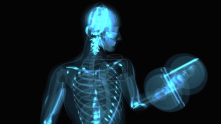Téléchargez les photos : Anatomie 3D abstraite d'un homme faisant des boucles biceps - en image libre de droit