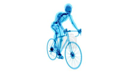 Photo for Anatomy of a X-ray cyclist riding - Royalty Free Image