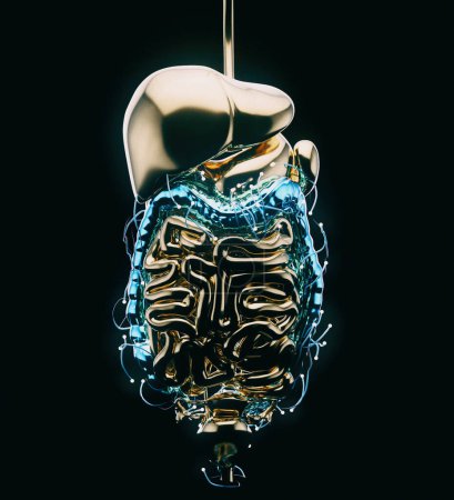 Foto de Vista 3D abstracta de la fisiología intestinal - Imagen libre de derechos