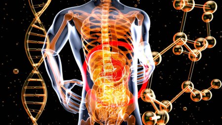 Foto de Diseño anatomía abstracta del estómago - Imagen libre de derechos