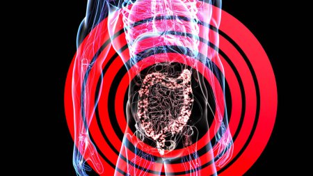 Téléchargez les photos : Vue d'anatomie 3D abstraite de l'intestin - en image libre de droit