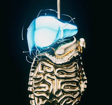 Téléchargez les photos : Vue 3D abstraite de la physiologie du foie - en image libre de droit