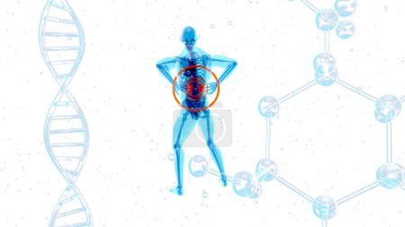 Photo for Abstract  design of backpain and kidneys - Royalty Free Image
