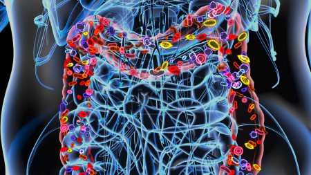 Photo for Abstract 3d anatomy view of the gut - Royalty Free Image