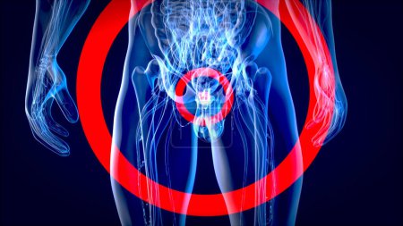 Téléchargez les photos : Illustration 3D abstraite de l'anatomie de la prostate - en image libre de droit