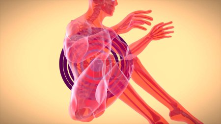 Foto de Anatomía 3D de un hombre haciendo situps - Imagen libre de derechos