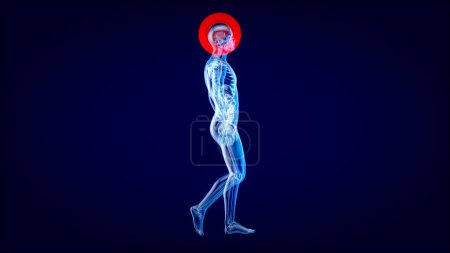 Téléchargez les photos : Concept d'anatomie 3D d'un homme de rayons X - en image libre de droit