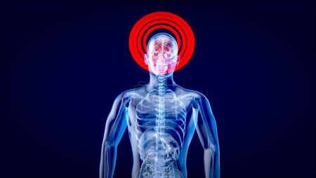 Foto de Concepto de anatomía 3D de un hombre de rayos X - Imagen libre de derechos