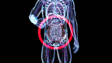 Téléchargez les photos : Vue d'anatomie 3D abstraite de l'intestin - en image libre de droit