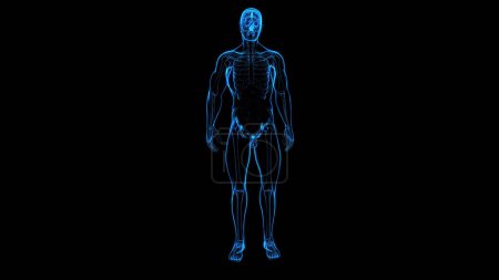 Téléchargez les photos : Illustration abstraite 3D d'un homme en rayons X - en image libre de droit