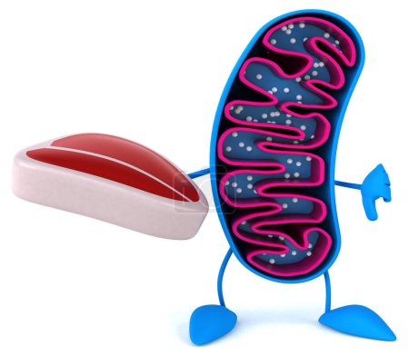Photo for Fun 3D cartoon mitochondria character with meat - Royalty Free Image