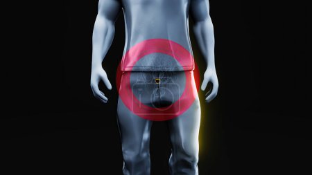 Téléchargez les photos : Illustration 3D abstraite de la prostate - en image libre de droit