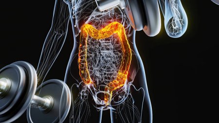 Foto de Anatomía de una mujer de rayos X haciendo rizos de bíceps - Imagen libre de derechos
