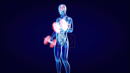 Photo for Abstract illustration of a man with weights, medicine - Royalty Free Image