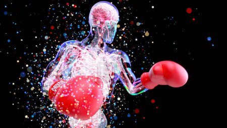 Téléchargez les photos : Anatomie 3D abstraite d'un homme boxe, médecine - en image libre de droit
