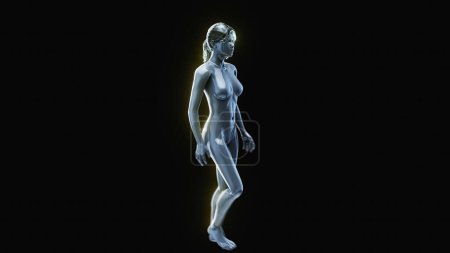 Photo for 3D anatomical model of a woman - Royalty Free Image