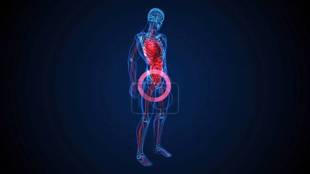 Photo for Abstract 3D illustration of the prostate - Royalty Free Image