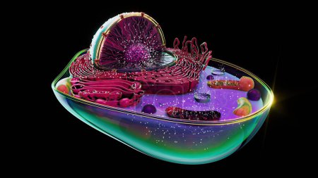 Abstrakte Darstellung der biologischen Zelle