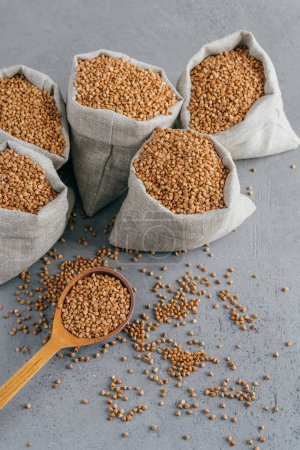 Photo for Gluten free product. Vertical shot of dry brown buckwheat for vegetarians. Sacks with cereals. Wooden spoon near. Heathy eating concept - Royalty Free Image