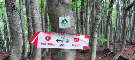 Téléchargez les photos : Informations sur un tronc d'arbre sur le sentier de randonnée de Valbone à Theth - en image libre de droit