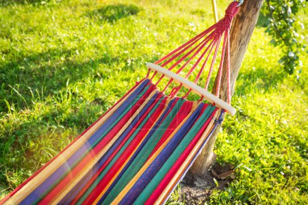 Téléchargez les photos : Un hamac multicolore lumineux pend sur un arbre, lumière du soleil chaude. Été, vacances, vacances - en image libre de droit