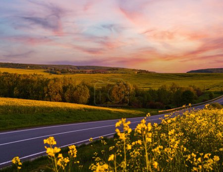 Route à travers les champs de colza en fleurs jaunes du printemps au soir, ciel nuageux au coucher du soleil. Naturel saisonnier, beau temps, climat, éco, agriculture, campagne concept beauté.