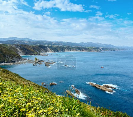 Foto de Paisaje del Cabo Vidio floreciente en verano (costa asturiana, Cudillero, España)
). - Imagen libre de derechos