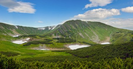 Photo for Mountain panorama view with juniper forest and snow remains on ridge in distance. - Royalty Free Image