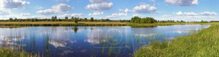 Téléchargez les photos : Été rushy vue panoramique du lac avec des reflets de nuages
. - en image libre de droit