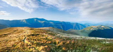 Foto de Verano mañana paisaje de montaña con bosque verde en la pendiente (Ucrania, Cárpatos Montañas). - Imagen libre de derechos