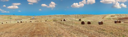 Téléchargez les photos : Beau paysage de campagne estivale de Sicile en Italie. Champ de blé avec des piles de foin. Panorama haute résolution à quatre points
. - en image libre de droit