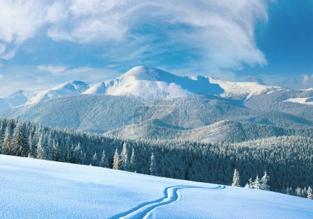 Téléchargez les photos : Matin hiver calme paysage de montagne avec piste de ski et forêt de conifères sur la pente (vue Goverla - la plus haute montagne dans les Carpates ukrainiennes). - en image libre de droit