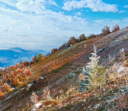 Foto de Octubre Cárpatos de montaña meseta de Borghava con la primera nieve de invierno y arbustos de arándanos coloridos otoño - Imagen libre de derechos