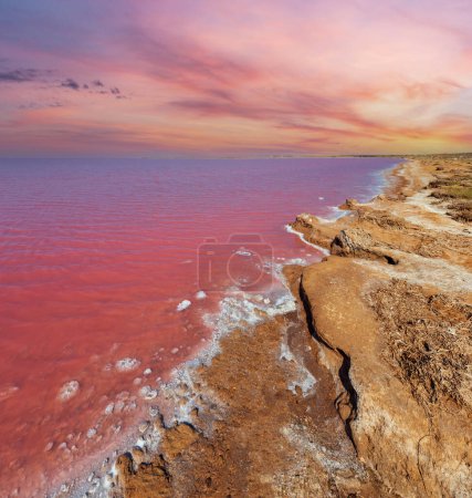 Téléchargez les photos : Lac Syvash rose extrêmement salé, coloré par des microalgues avec des dépôts de sel cristallin. Aussi connu sous le nom de Mer Putride ou Mer pourrie. Ukraine, région de Kherson, près de la Crimée et de la flèche Arabat
. - en image libre de droit